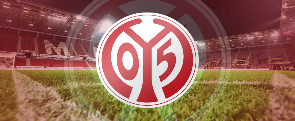 Câu lạc bộ bóng đá FSV Mainz 05 – Lịch sử và Thành tích