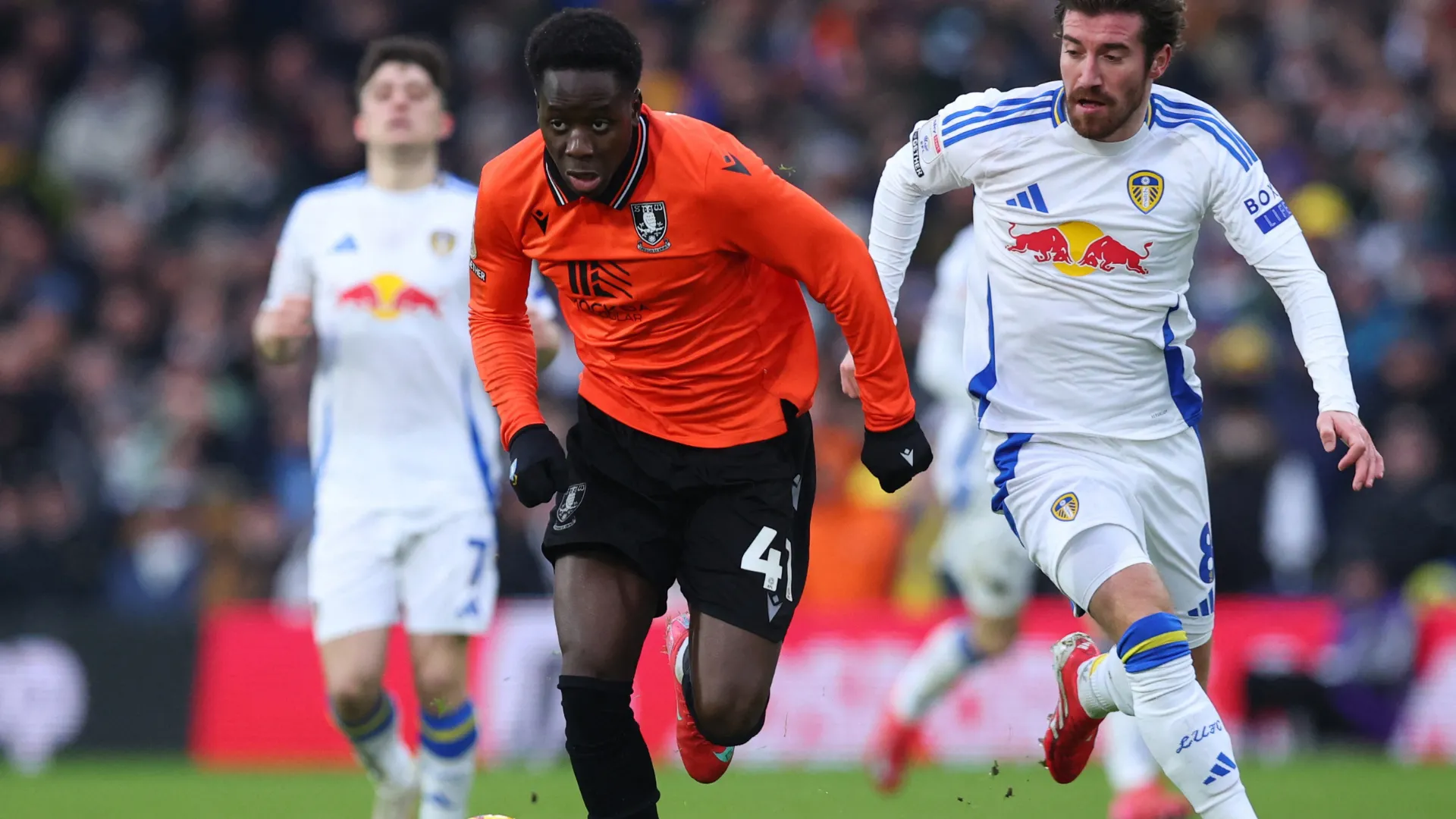 Cầu thủ Djeidi Gassama trong màu áo Sheffield Wednesday