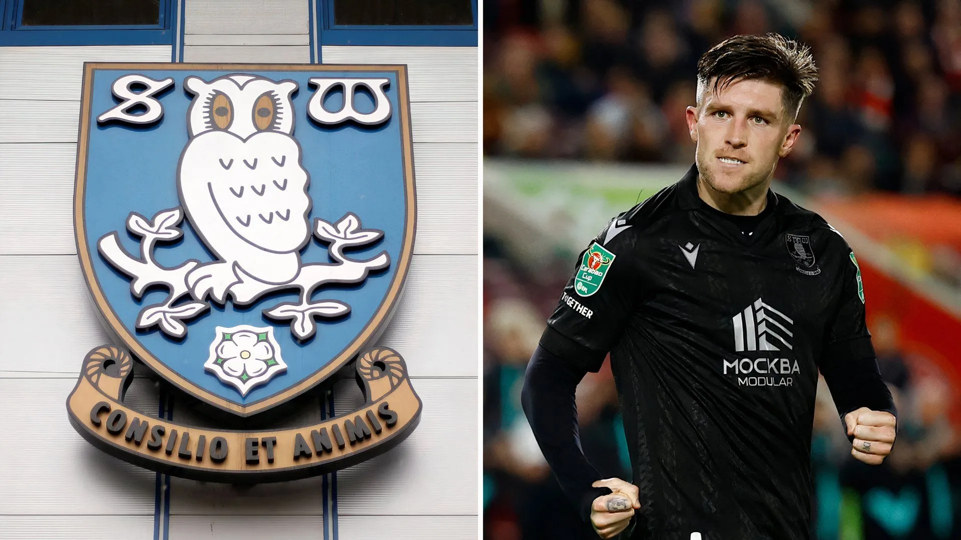 Josh Windass - cầu thủ sắp hết hợp đồng của Sheffield Wednesday