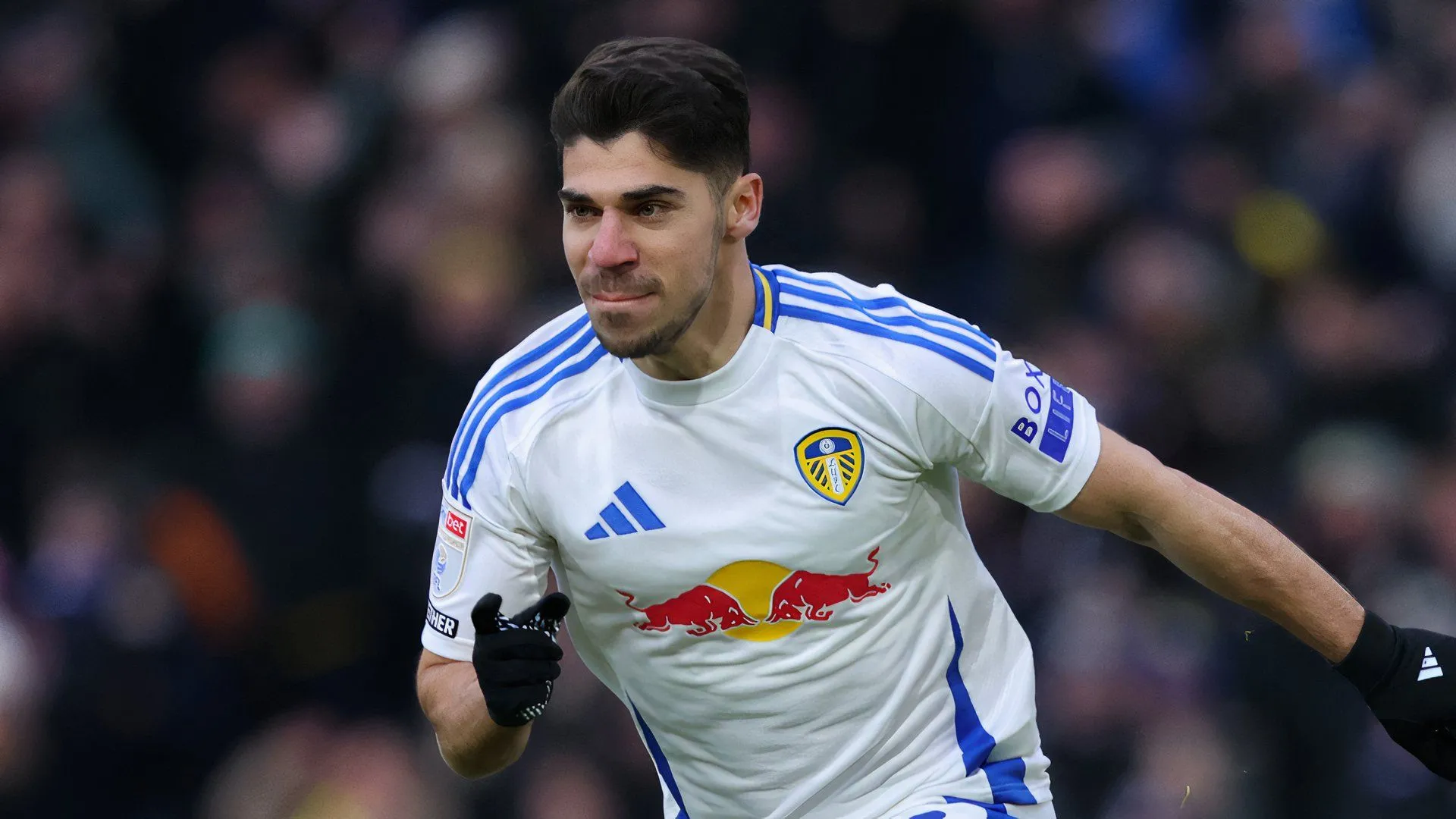 Manor Solomon trong màu áo Leeds United ở mùa giải thành công