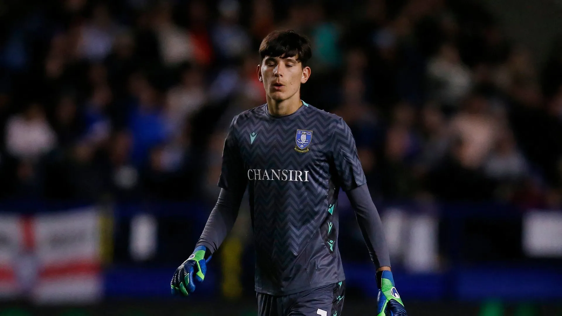 Thủ môn James Beadle trong màu áo Sheffield Wednesday đang thi đấu ở giải Championship.
