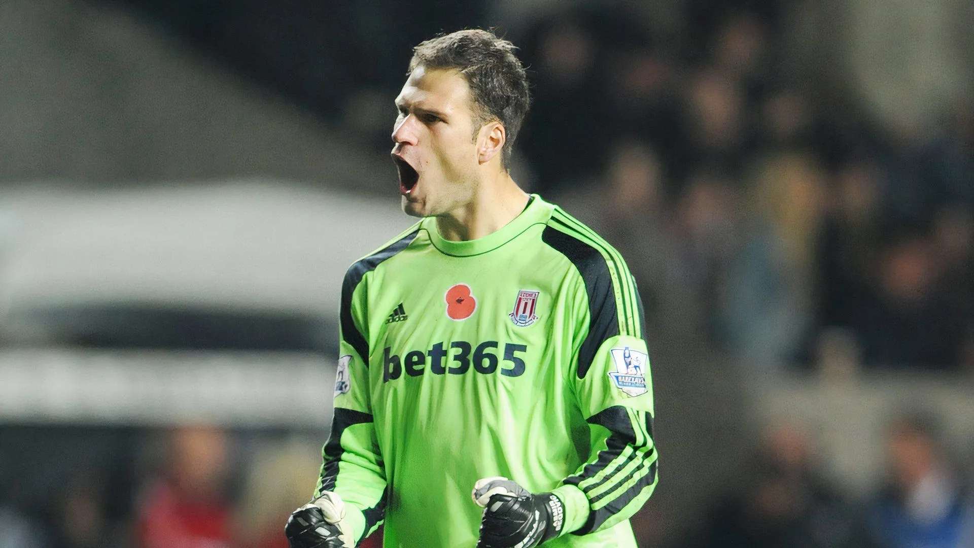 Asmir Begovic trong màu áo Stoke City thời còn đỉnh cao phong độ