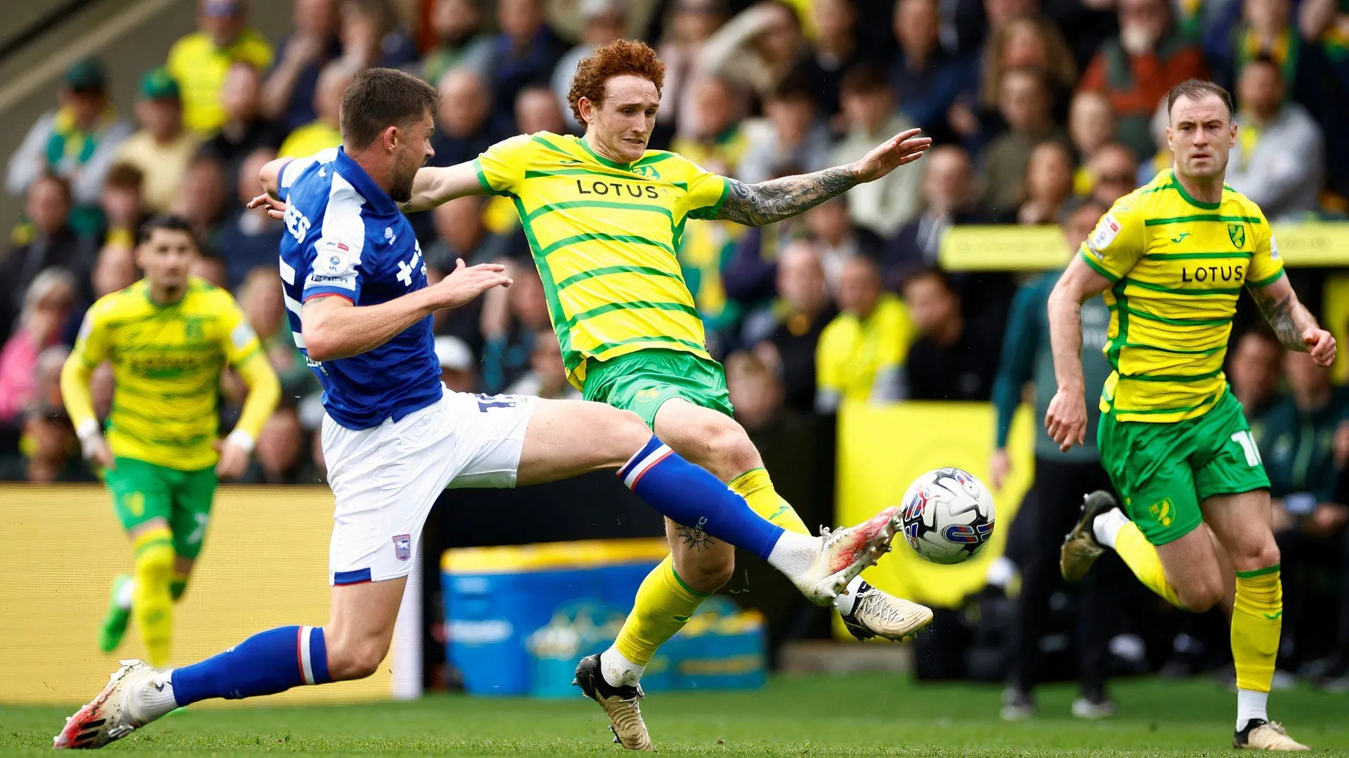 Tiền đạo Josh Sargent trong màu áo Norwich City