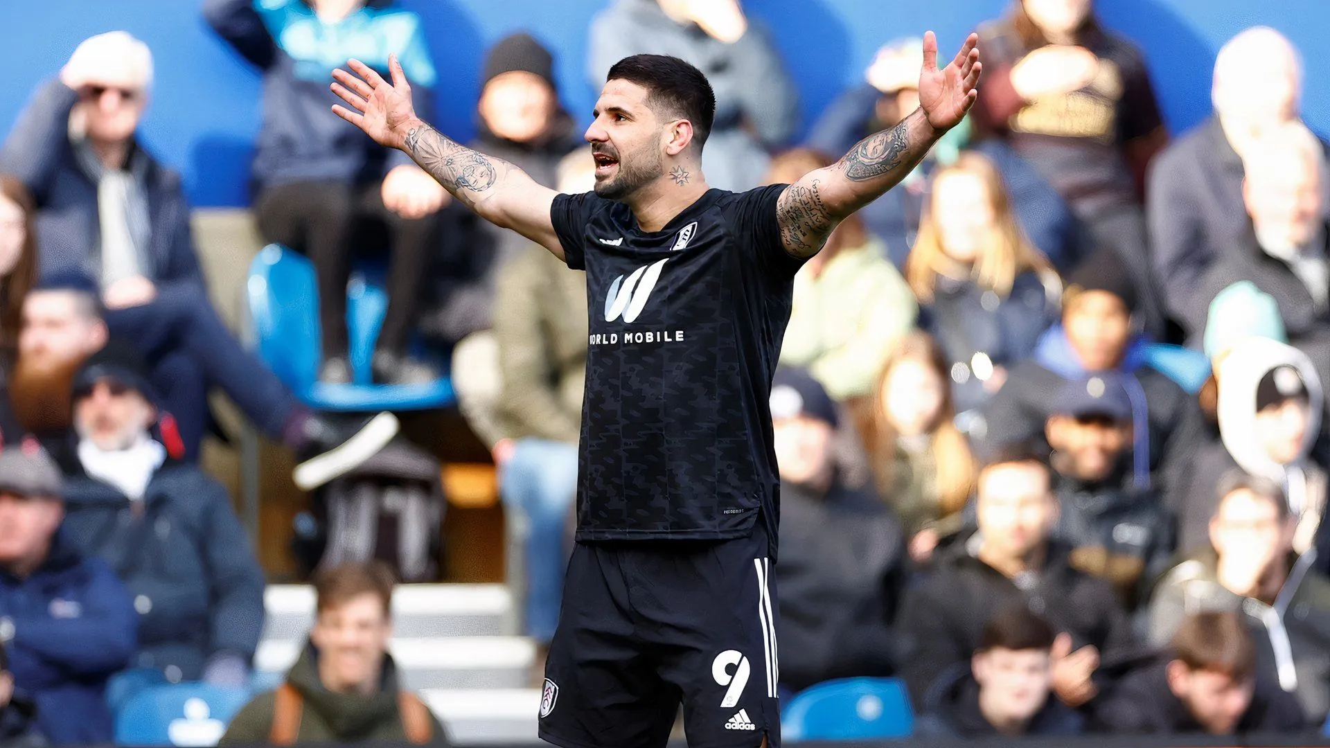 Tiền đạo Aleksandar Mitrovic trong màu áo Fulham, cầu thủ ghi 43 bàn ở Championship mùa 2021/22.